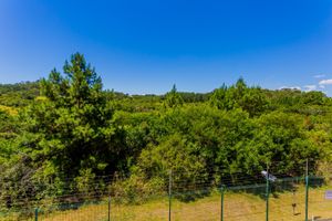 Image 44 - 226023