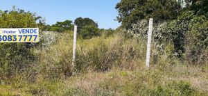 Image 1 - 226398