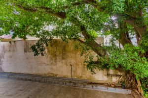 Image 8 - 228328
