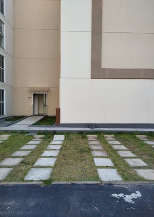 Image 17 - 228856