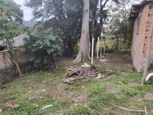 Image 14 - 229103
