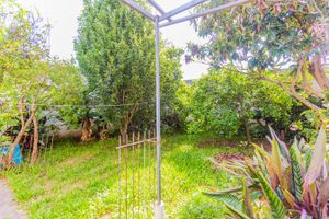 Image 34 - 229352
