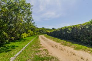Image 1 - 229387