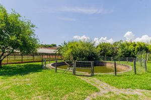 Image 15 - 229387