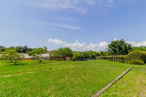 Image 23 - 229387