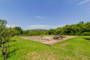 Image 25 - 229387