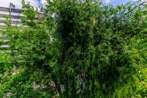 Image 5 - 229392