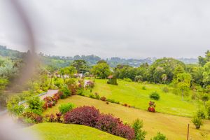 Image 61 - 229663