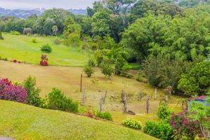 Image 75 - 229663