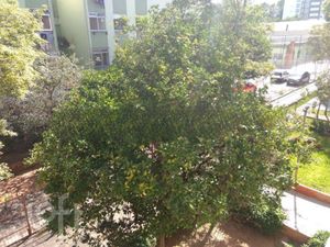 Image 14 - 229957