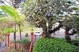 Image 89 - 229962