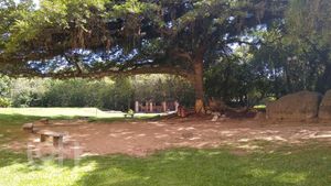 Image 19 - 231063
