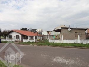 Image 11 - 231231