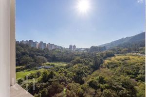 Image 23 - 231265