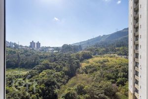Image 33 - 231265