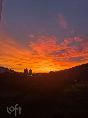 Image 11 - 231265