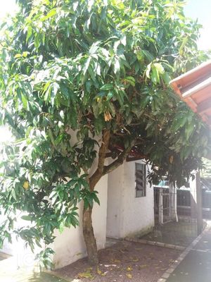 Image 23 - 231901