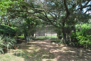 Image 44 - 232297