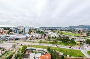 Image 13 - 232313
