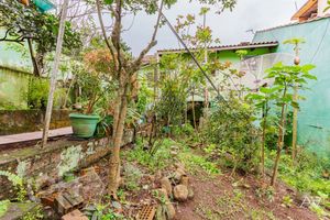 Image 31 - 232384