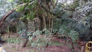 Image 12 - 232646