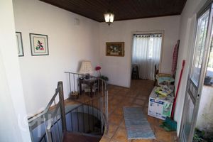 Image 19 - 232869
