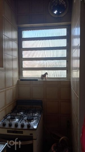 Image 8 - 233049