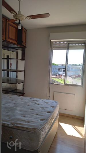 Image 4 - 233884