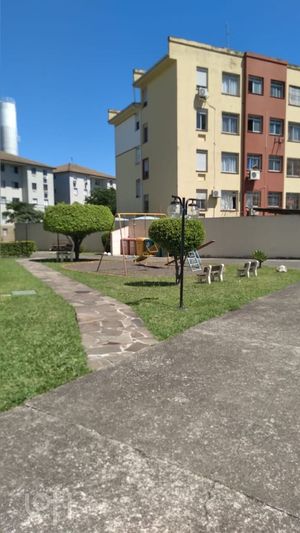 Image 16 - 233884