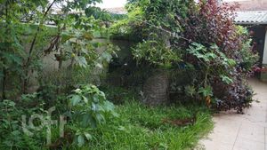 Image 37 - 233994