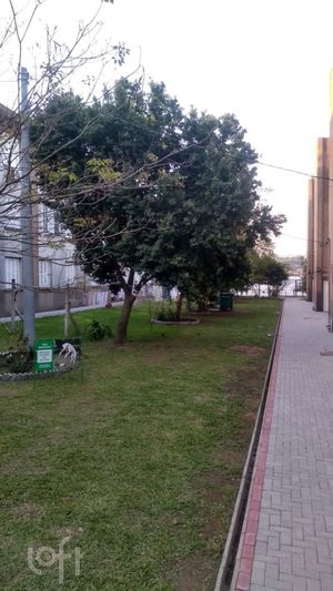 Image 13 - 234333