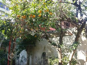 Image 5 - 234405