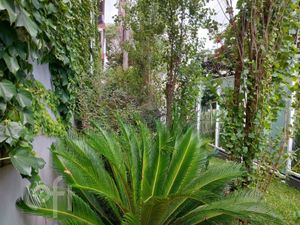 Image 27 - 234715