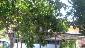 Image 28 - 234730