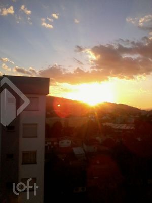 Image 8 - 235204
