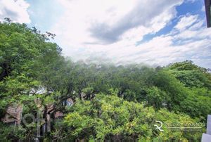 Image 4 - 235485