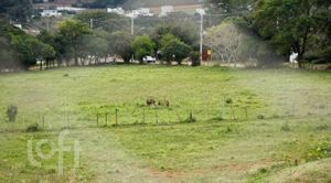 Image 2 - 235774