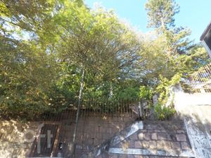 Image 5 - 236563