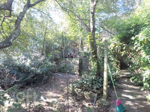 Image 6 - 236563