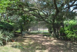Image 6 - 237255