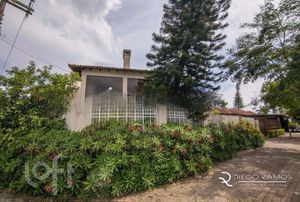 Image 32 - 237433