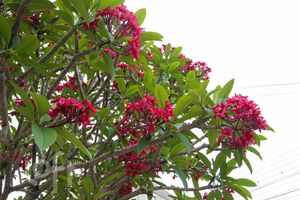 Image 4 - 237779