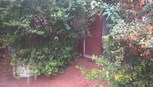 Image 10 - 237825