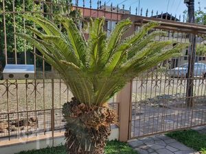 Image 26 - 238257