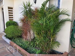 Image 15 - 238257