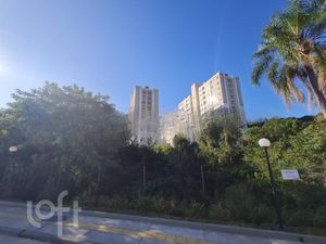 Image 7 - 238285