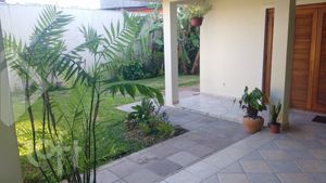 Image 23 - 238459
