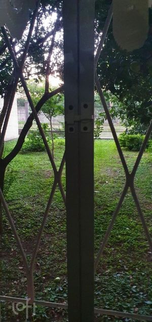 Image 8 - 238684