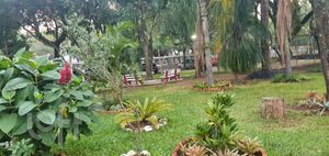 Image 12 - 238684