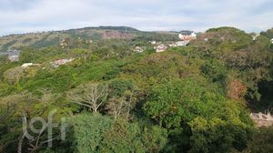 Image 20 - 239030